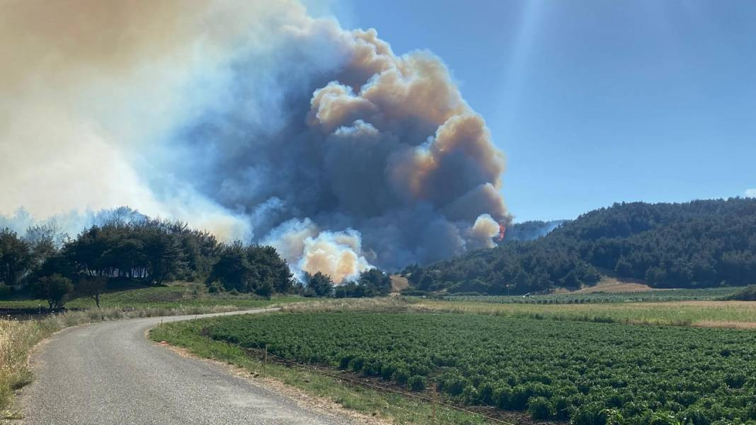 Çanakkale'deki Tarihi Alan'ın güney hattı ziyarete açıldı! Orman yangınında kapatılmıştı - Resim: 2